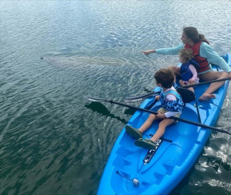 Miami: Biscayne Bay Sunset Paddle Tour - PADL Beach Club - What to Bring and Tips for the Tour