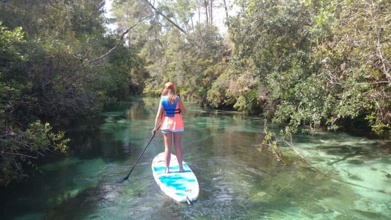 Miami: Biscayne Bay Ultimate Boat Tour with Kayak Experience - Key Points