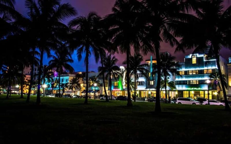 Miami by Night: City and Beach Lights Panoramic Tour - What to Expect from the Miami by Night Tour
