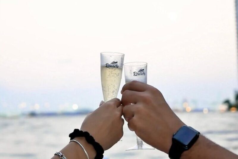 Miami: BYOB Day, Sunset or Night Private Boat Tour - Final Thoughts