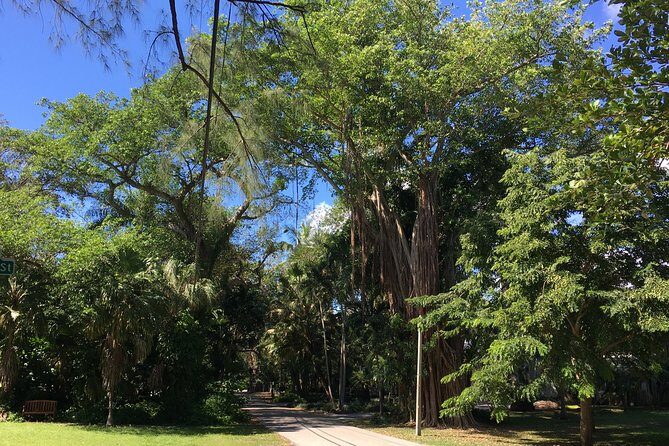 Miami: City and Boat Tour Combo - Who Should Consider This Tour?