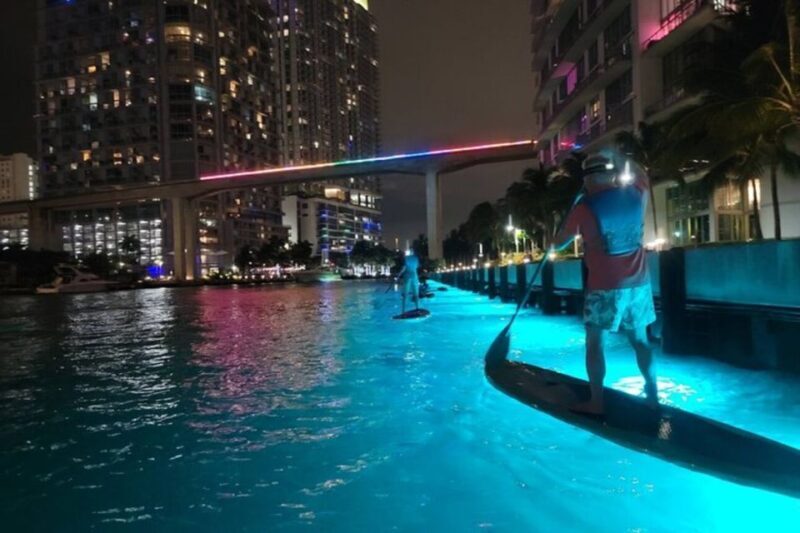 Miami: City Lights SUP or Kayak Night Tour - Key Points