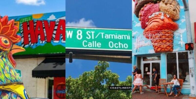 Miami: City Tour and Thriller Speedboat Adventure - FAQs