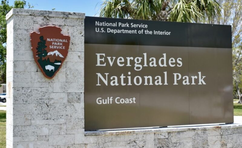 Miami: Everglades Airboat Ride and Tram Tour - Who Should Consider This Tour?