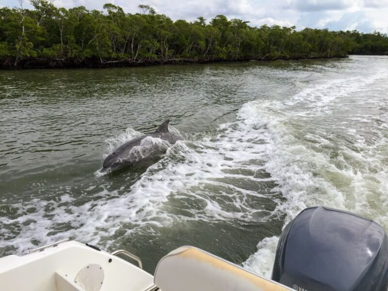 Miami: Everglades Full-Day Tour with 2 Boat Trips and Lunch - The Itinerary: What to Expect on Your Day in the Everglades