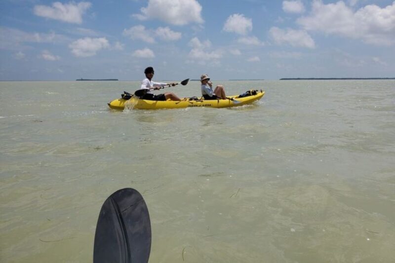 Miami: Everglades National Park Hiking and Kayaking Day Trip - The Experience in Detail