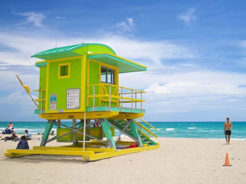 Miami: Explore Magic City in Style 2-Hour VIP Tour - What To Expect on the Day