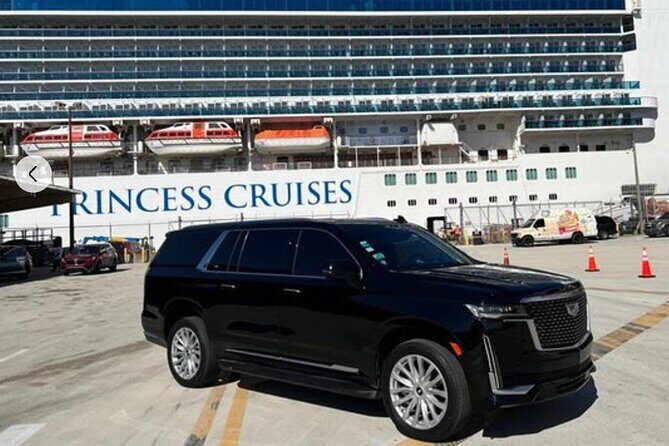 Miami & Fort Lauderdale - Port & Airport Transfer Service - Who Is This Service Best For?