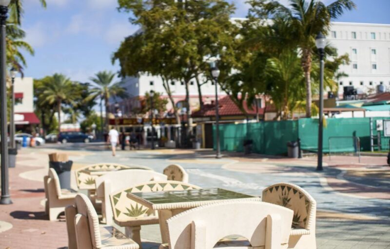 Miami From Fort Lauderdale Premium Driving Tour with Cruise - Key Points