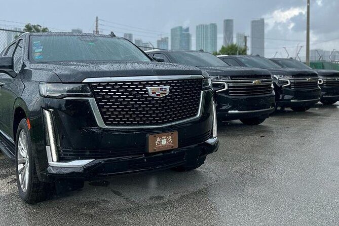 Miami & Ft. Lauderdale Airport Transfer & Transportation Service - Who Is This Tour Best For?