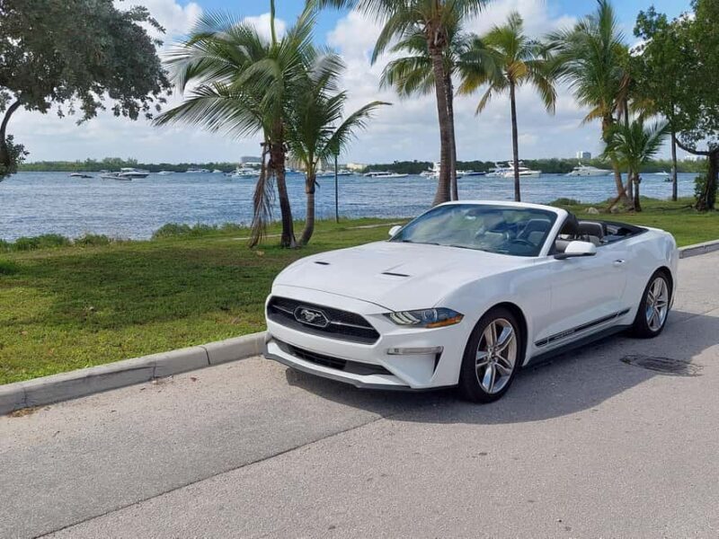 Miami: Full-day tour of the Keys in a convertible Mustang in French - Key Points