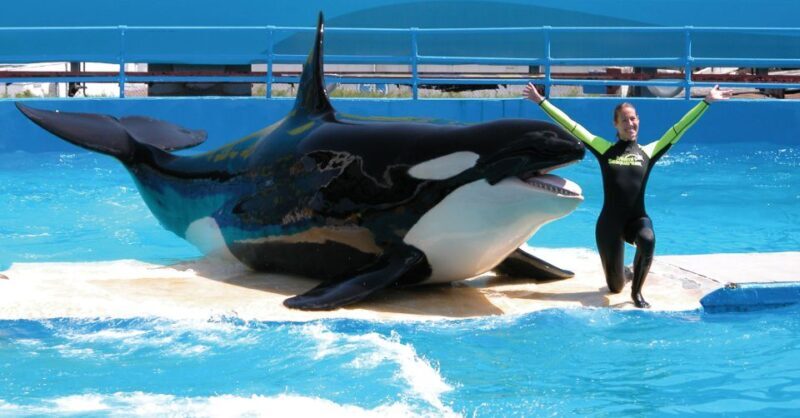 Miami: Go City All-Inclusive Pass with 30+ Attractions - How to Make the Most of Your Pass