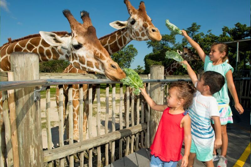 Miami: Go City All-Inclusive Pass with 30+ Attractions - Is This Pass Right for You?