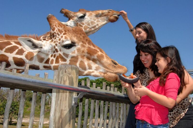 Miami: Go City Explorer Pass - Choose 2 to 5 Attractions - FAQs