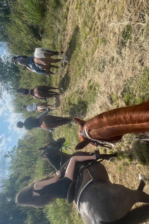 Miami: Guided Horseback Riding Tour - Key Points