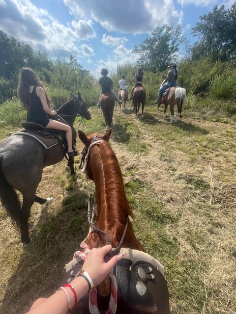 Miami: Guided Horseback Riding Tour - Final Thoughts