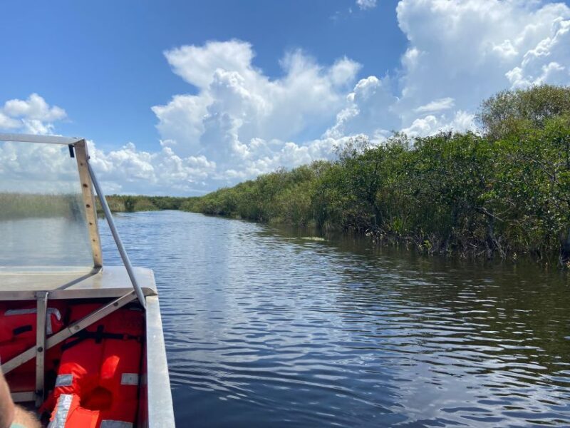 Miami: Half-Day Everglades Tour in French - Final Thoughts