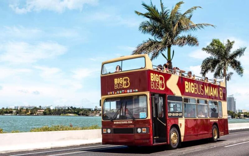 Miami: Hop-on Hop-off Open-top Bus Tour and Optional Cruise - The Night Tour: Miami Lights Up