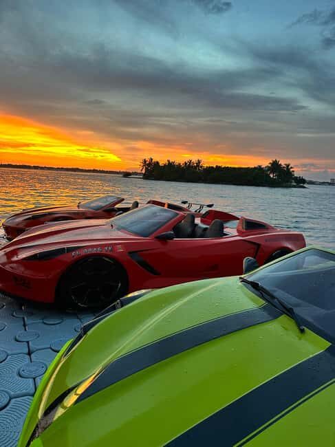 Miami JetCar: 1 Water JetCar Rental | 1h - The Bottom Line
