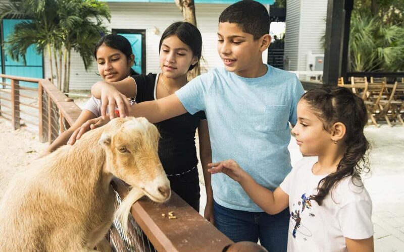 Miami: Jungle Island General Admission - What to Expect at Jungle Island