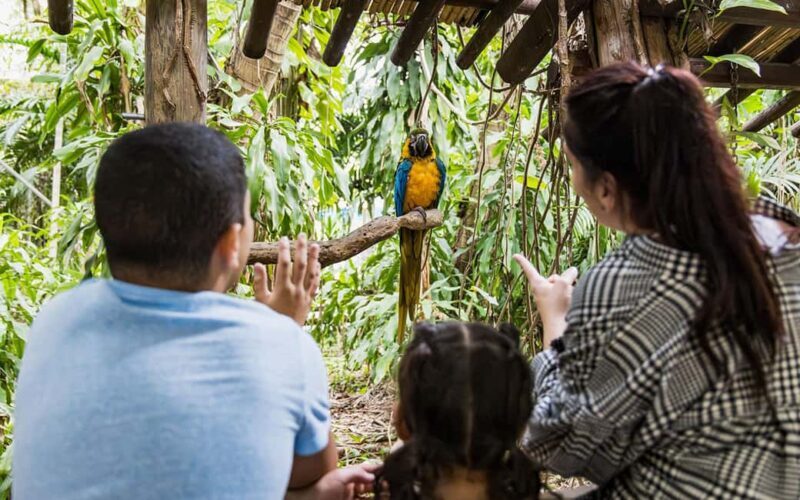 Miami: Jungle Island General Admission - Who Should Visit Jungle Island?