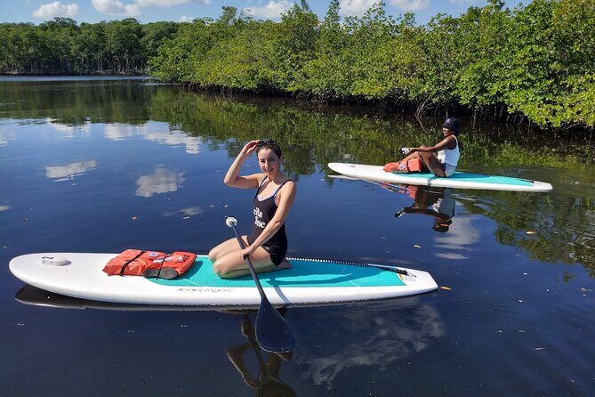 Miami Kayak and Paddleboard Rentals in Virginia Key - The Real Deal: Reviews That Speak Volumes