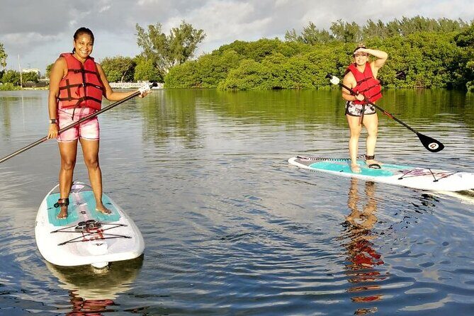 Miami Kayak and Paddleboard Rentals in Virginia Key - The Sum Up: Is It Worth It?