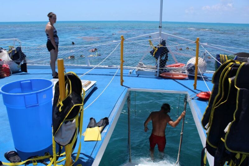 Miami: Key West Boat Tour w/ Optional Snorkeling & Open Bar - The Pros and Cons in Practice