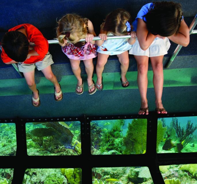 Miami: Key West Dolphin Watch or Snorkel Boat with pickup - The Realities and Flaws