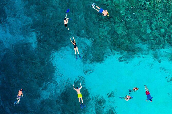 MIAMI: Key West Dolphin Watch Tour and other options - Final Thoughts