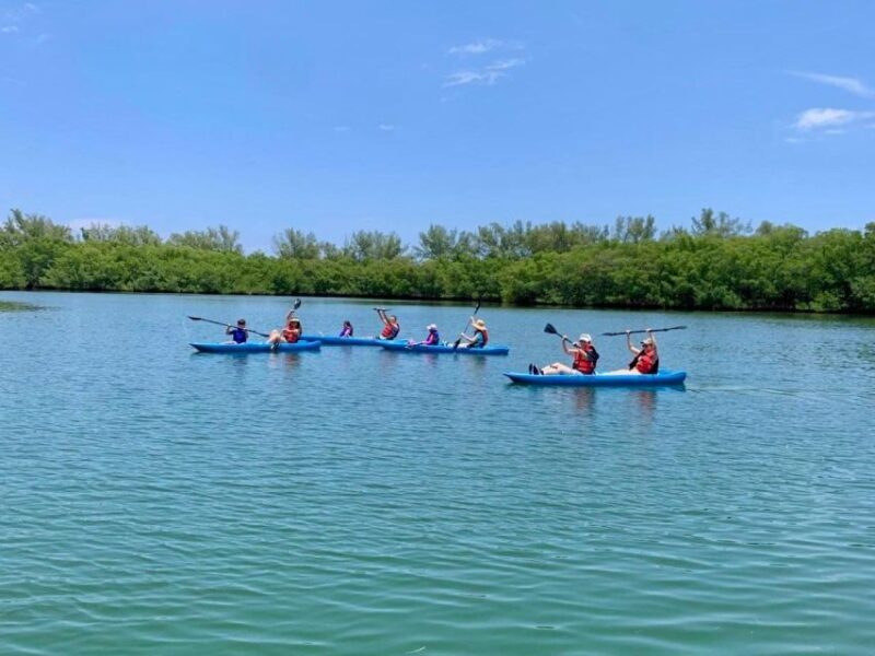 Miami: Manatee Season Paddleboard or Kayak Tour - Key Points