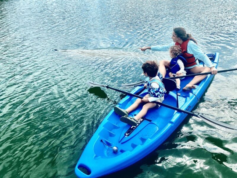 Miami: Manatee Season Paddleboard or Kayak Tour - Practical Tips for Your Paddleboard or Kayak Tour