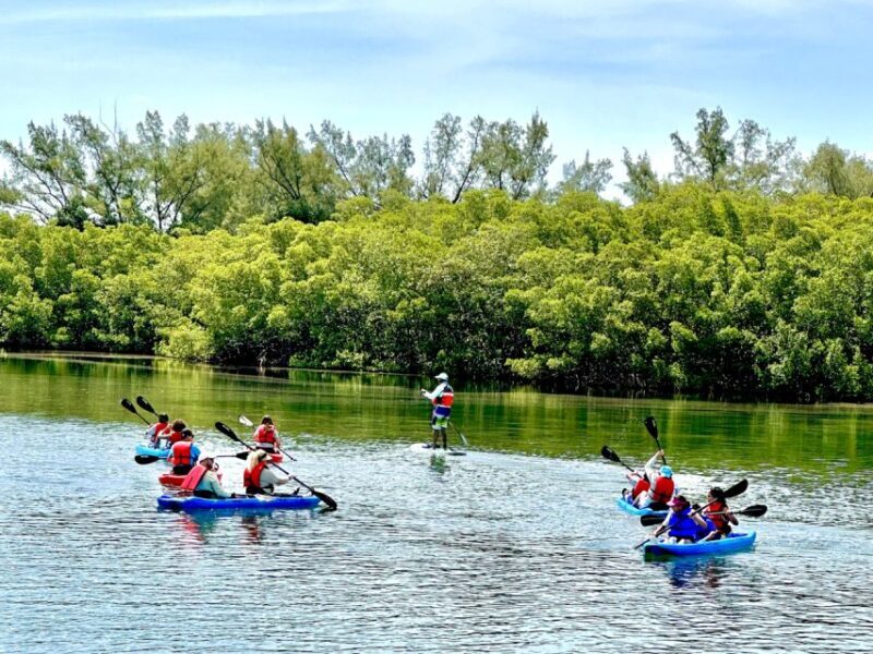 Miami: Manatee Season Paddleboard or Kayak Tour - Who Is This Tour Best Suited For?