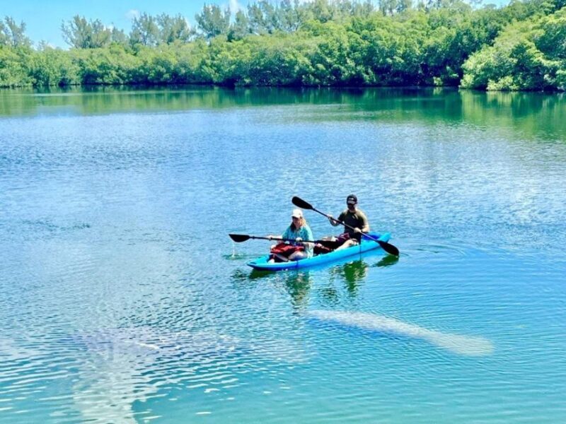 Miami: Manatee Season Paddleboard or Kayak Tour - FAQ