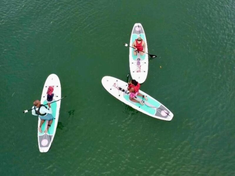 Miami: Paddle Board or Kayak Rental in Virginia Key - Wildlife and Landscape Highlights