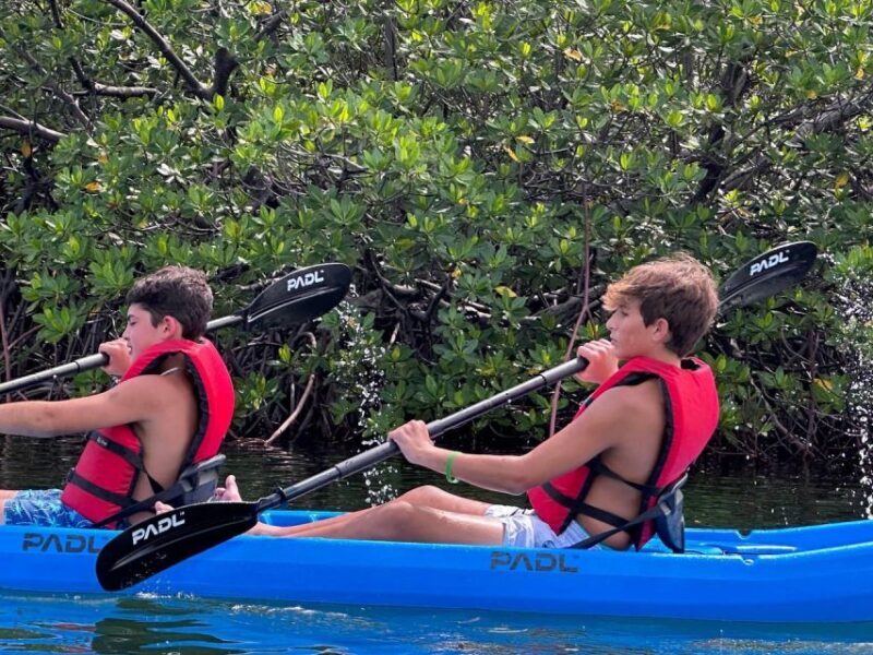 Miami: Paddle Board or Kayak Rental in Virginia Key - Logistics and Practical Tips