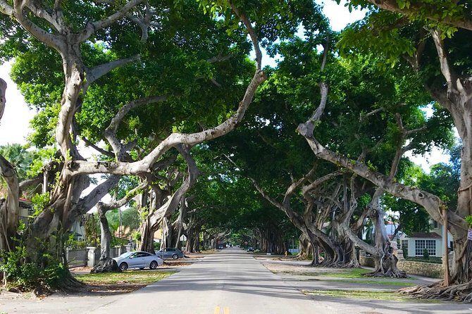 Miami private city tour off the beaten path - Detailed Look at the Tour Itinerary