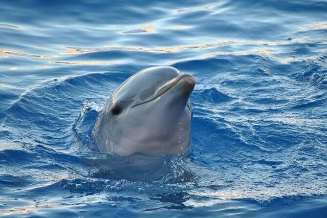 Miami: Private Golden Hour Cruise - Frequently Asked Questions