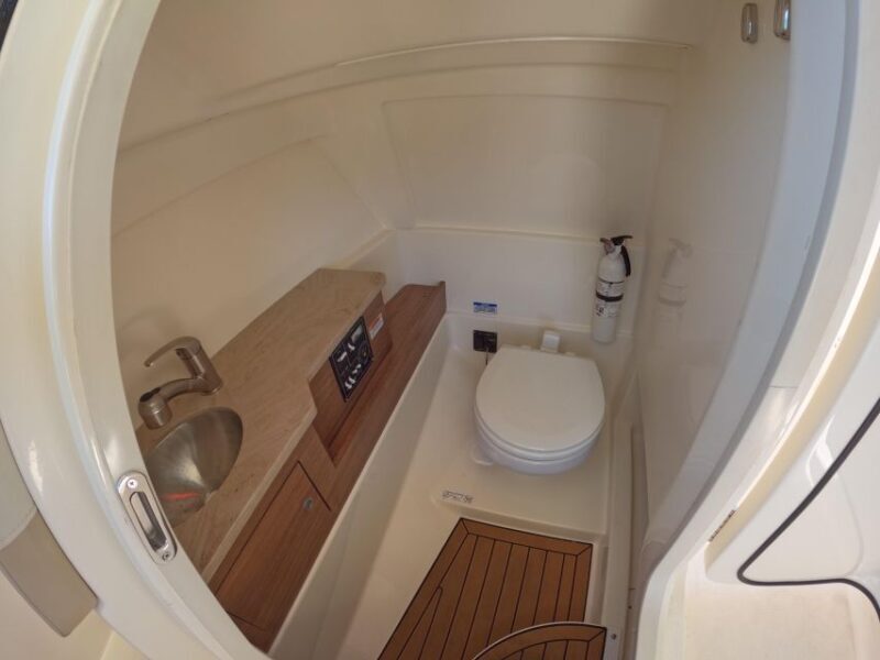 Miami: Private Star island, Miami Skyline & Miami River Tour - Downsides or Considerations