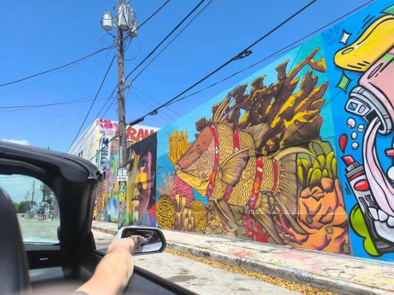 Miami: Private tour in a convertible Mustang in French - Authentic Voices: What People Say