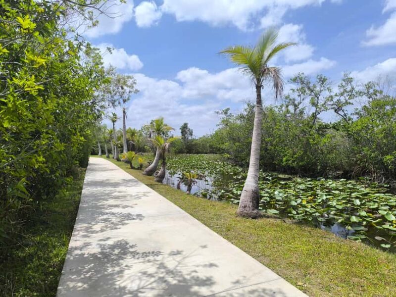 Miami: Private tour of the Everglades in French in a convertible Mustang - Practical Considerations