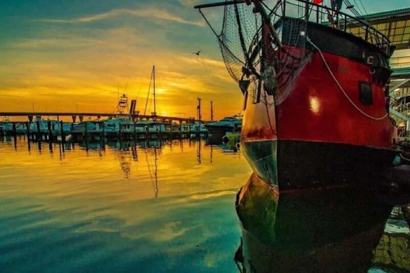 Miami: Skyline & Millionaire's Homes Pirate Boat Cruise - The Setup: What to Expect on the Cruise