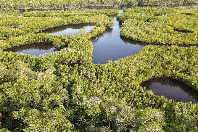 Miami Small-Group Tour with Boat Cruise + Little Havana +Wynwood - In-Depth Breakdown of the Itinerary