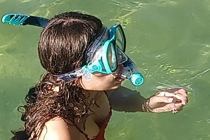 Miami: Snorkel adventure & Sandbar Trip - What to Expect from the Tour