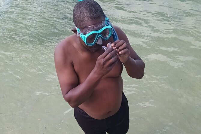 Miami: Snorkel adventure & Sandbar Trip - Authentic Traveler Insights & Potential Downsides