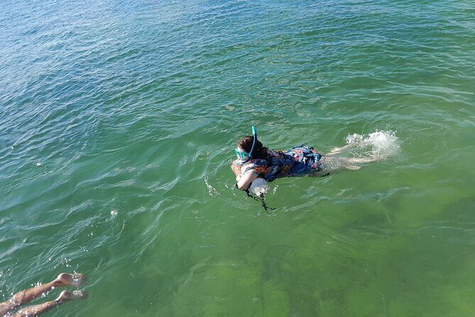 Miami: Snorkel adventure & Sandbar Trip - The Sum Up