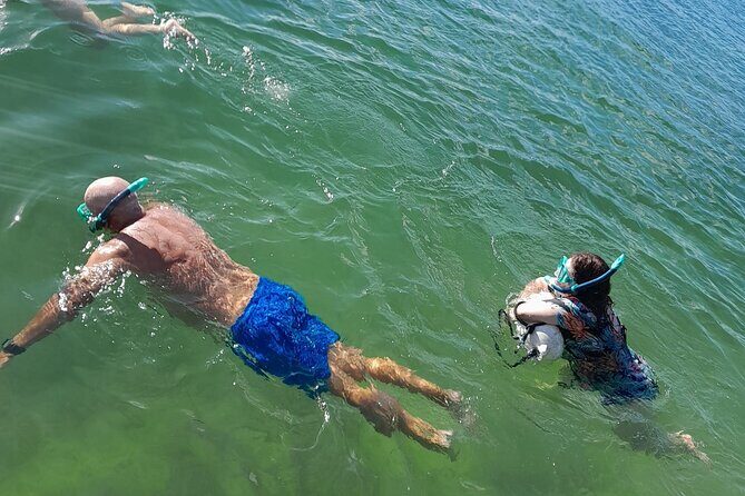 Miami: Snorkeling for Beginners Private Tour - The Practical Side