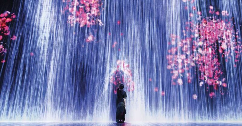 Miami: 'Superblue Miami' Immersive Art Experience Ticket - Price and Value