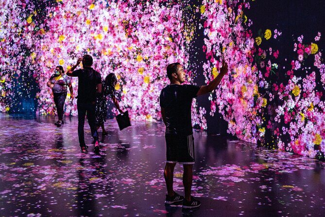 Miami: Superblue Miami Immersive Art Experience Ticket - Key Points