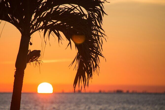 Miami to Key West Bus tour & Miami Boat Tour - 2 Combo Tour - The Itinerary in Detail